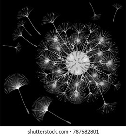 Abstract background of a dandelion for design. The wind blows the seeds of a dandelion. Template for posters, wallpapers, posters. Vector illustrations.