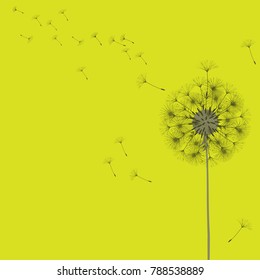 Abstract background of a dandelion for design. The wind blows the seeds of a dandelion. Template for posters, wallpapers, posters. Vector illustrations.