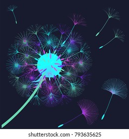 Abstract background of a dandelion for design. The wind blows the seeds of a dandelion. Template for posters, wallpapers, posters. Vector illustrations.