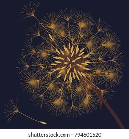 Abstract background of a dandelion for design. The wind blows the seeds of a dandelion. Template for posters, wallpapers, posters. Vector illustrations.