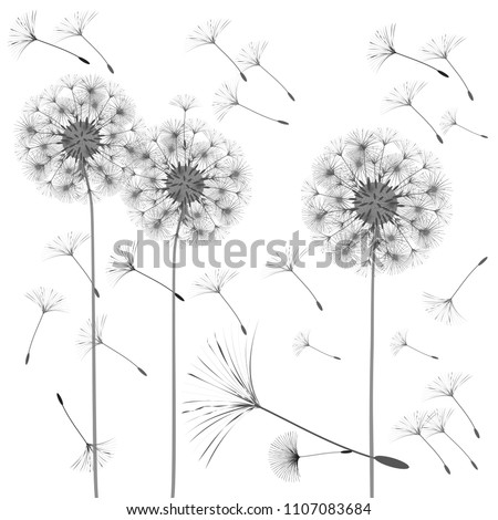 abstract background dandelion design wind blows stock vector