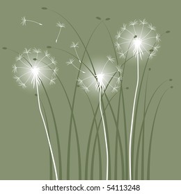abstract background with dandelions