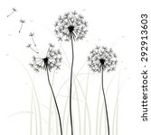 Abstract background with dandelions, vector