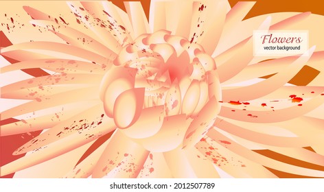 Abstract background with delicate petals of flowers

