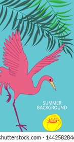 Abstract background designs - summer sale, social media promotional content. Vector illustration