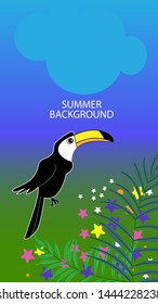 Abstract background designs - summer sale, social media promotional content. Vector illustration