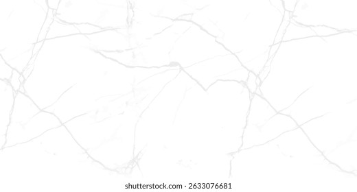 Abstract background with a detailed cracked texture Grunge cracked texture background