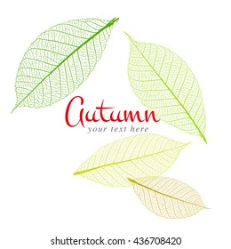 Abstrakter Hintergrund trockenes Blatt mit Herbst, Illustrationsdesign.