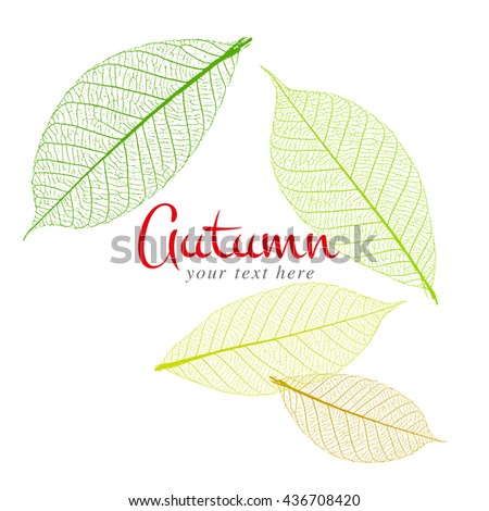 Abstract background dry leaf with autumn, illustration design.