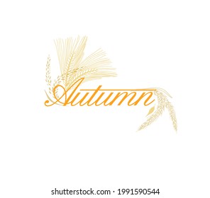 Abstract background with ears of wheat. Vector illustration