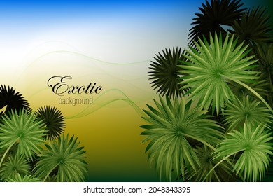 Abstract background with exotic palm leaves, design element
