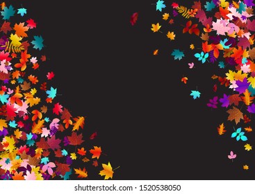 Abstract background with falling maple, oak leaves. Fall season greeting card, poster, flyer. Vector illustration isolated on a black background.