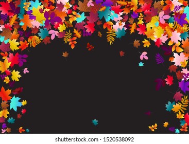 Abstract background with falling maple, oak leaves. Fall season greeting card, poster, flyer. Vector illustration isolated on a black background.