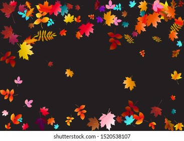 Abstract background with falling maple, oak leaves. Fall season greeting card, poster, flyer. Vector illustration isolated on a black background.
