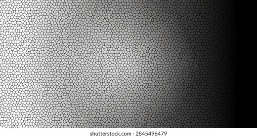 Abstract background featuring a grayscale voronoi mosaic cellular pattern with gradient shading creating a modern geometric mesh.