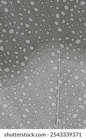 Abstract background with fine lines and dots - hand drawn vector illustration.