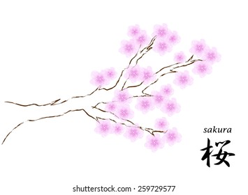 Abstract background with flowers