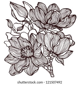 Abstract background flowers,vector illustration