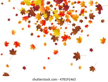 Abstract background with flying maple leaves. Fall season greeting card, poster, flyer. Vector illustration isolated on a white background.