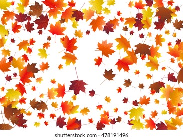 Abstract background with flying maple leaves. Fall season greeting card, poster, flyer. Vector illustration isolated on a white background.