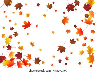 Abstract background with flying maple leaves. Fall season greeting card, poster, flyer. Vector illustration isolated on a white background.