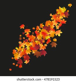 Abstract background with flying maple leaves. Fall season greeting card, poster, flyer blank templates. Vector illustration isolated on a black background.
