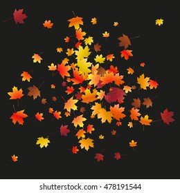Abstract background with flying maple leaves. Fall season greeting card, poster, flyer blank templates. Vector illustration isolated on a black background.
