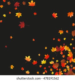 Abstract background with flying maple leaves. Fall season greeting card, poster, flyer blank templates. Vector illustration isolated on a black background.