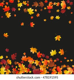 Abstract background with flying maple leaves. Fall season greeting card, poster, flyer blank templates. Vector illustration isolated on a black background.