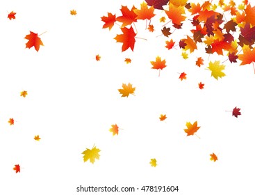 Abstract background with flying maple leaves. Fall season greeting card, poster, flyer. Vector illustration isolated on a white background.