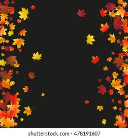 Abstract background with flying maple leaves. Fall season greeting card, poster, flyer blank templates. Vector illustration isolated on a black background.