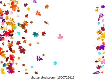 Abstract background with flying maple, oak leaves. Fall season greeting card, poster, flyer. Vector illustration isolated on a white background.