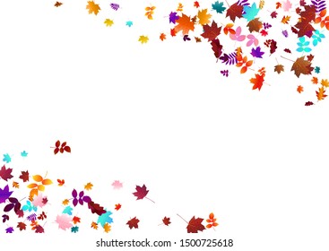 Abstract background with flying maple, oak leaves. Fall season greeting card, poster, flyer. Vector illustration isolated on a white background.