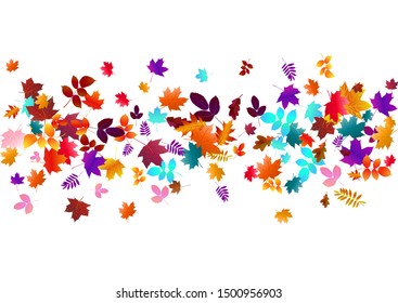Abstract background with flying maple, oak leaves. Fall season greeting card, poster, flyer. Vector illustration isolated on a white background.
