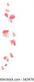 Abstract background with flying pink, red rose petals. Vector illustration isolated on white background.