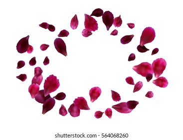 Abstract background with flying pink, red rose petals. Vector illustration isolated on white background.