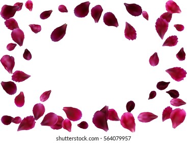 Abstract background with flying pink, red rose petals. Vector illustration isolated on white background.
