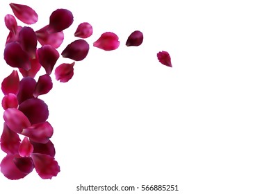 Abstract background with flying pink, red rose petals. Vector illustration isolated on white background.