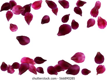 Abstract background with flying pink, red rose petals. Vector illustration isolated on white background.