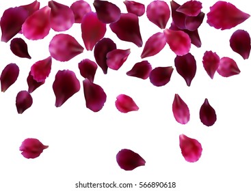 Abstract background with flying pink, red rose petals. Vector illustration isolated on white background.