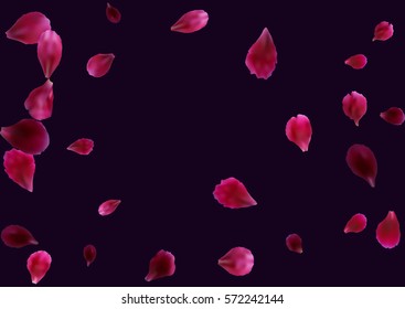 Abstract background with flying pink, red rose petals. Vector illustration isolated on dark violet background.