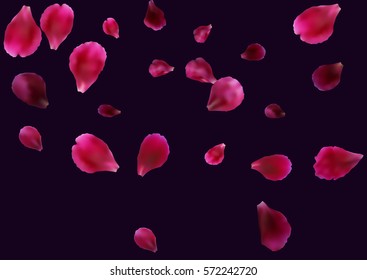 Abstract background with flying pink, red rose petals. Vector illustration isolated on dark violet background.