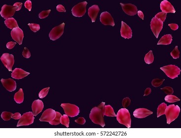 Abstract background with flying pink, red rose petals. Vector illustration isolated on dark violet background.