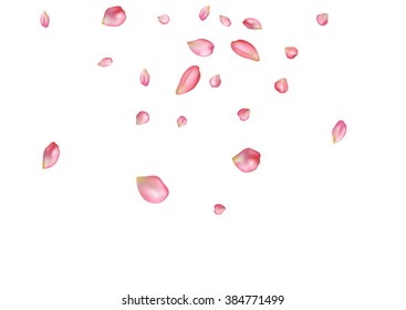 Abstract background with flying pink rose petals. Vector illustration isolated on a background.