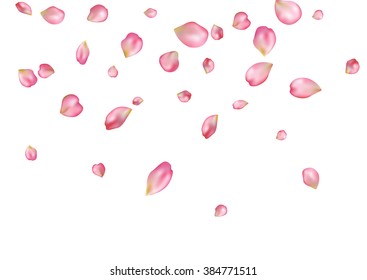 Abstract background with flying pink rose petals. Vector illustration isolated on a background.