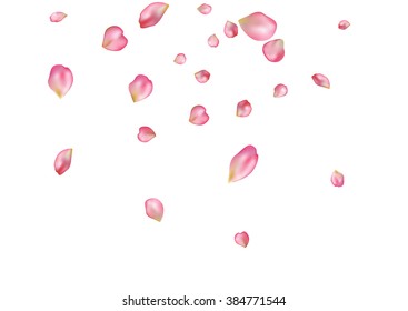 Abstract background with flying pink rose petals. Vector illustration isolated on a background.