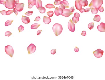 Abstract background with flying pink rose petals. Vector illustration isolated on a white background.