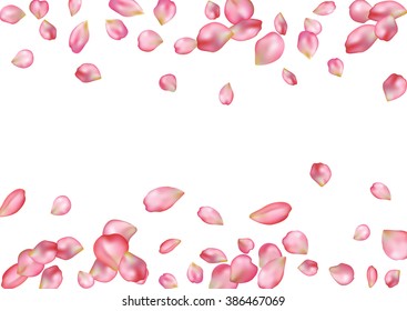Abstract background with flying pink rose petals. Vector illustration isolated on a white background.