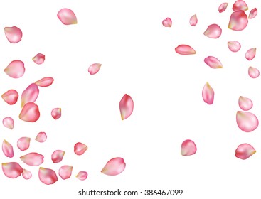 Abstract background with flying pink rose petals. Vector illustration isolated on a white background.