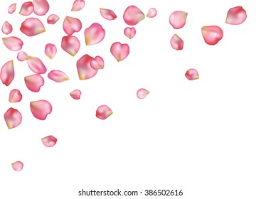 Abstract background with flying pink rose petals. Vector illustration isolated on a white background.